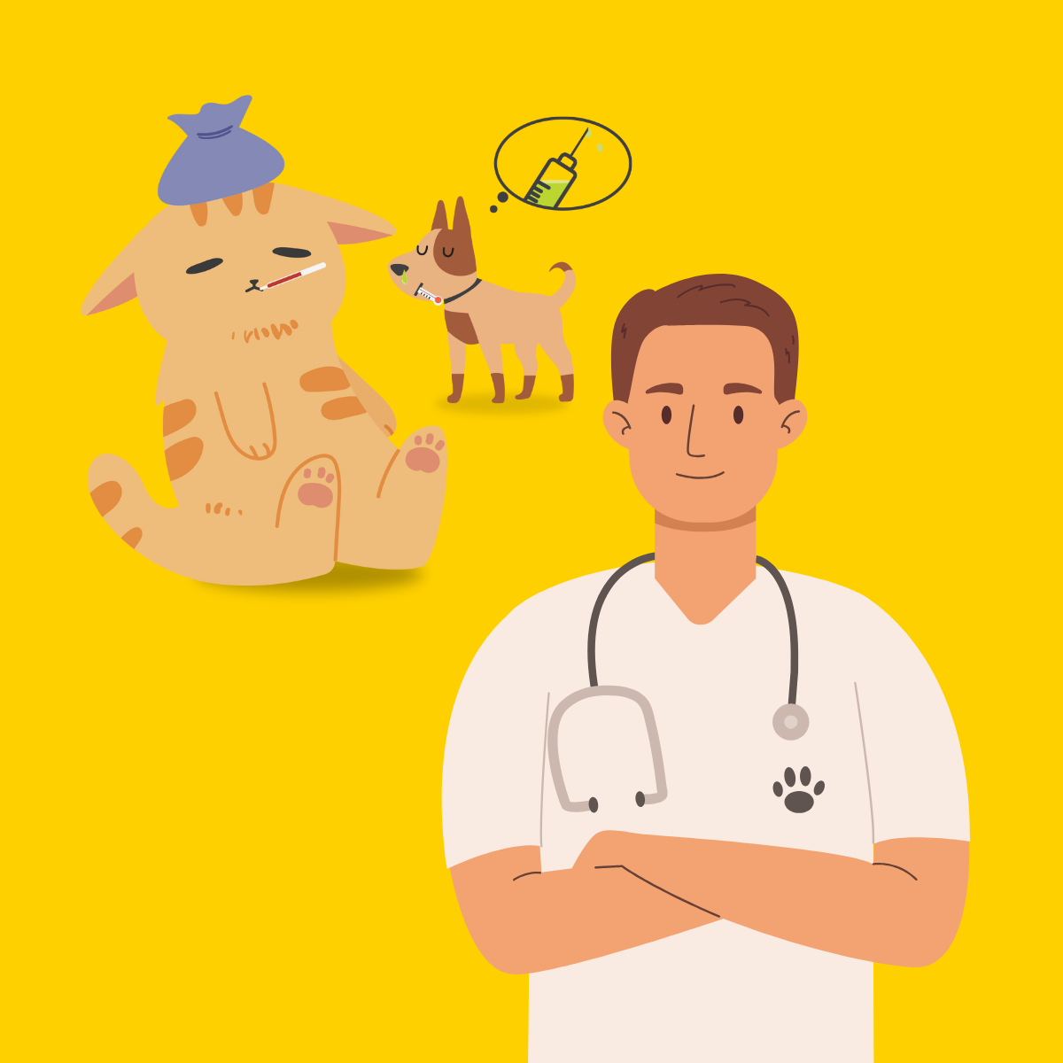 Pet Health & Wellness Guide: 9 Preventive Care to Lower Vet Costs in Singapore