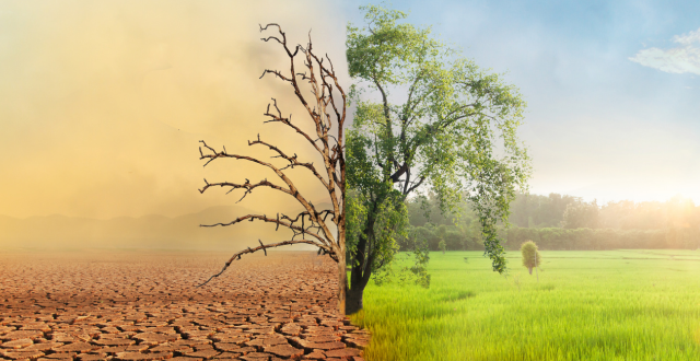 Climate Change