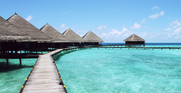Holiday Destination