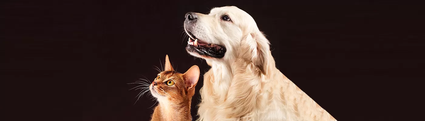Liberty pet care 2025