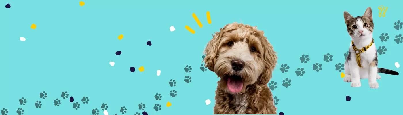 Petcare banner
