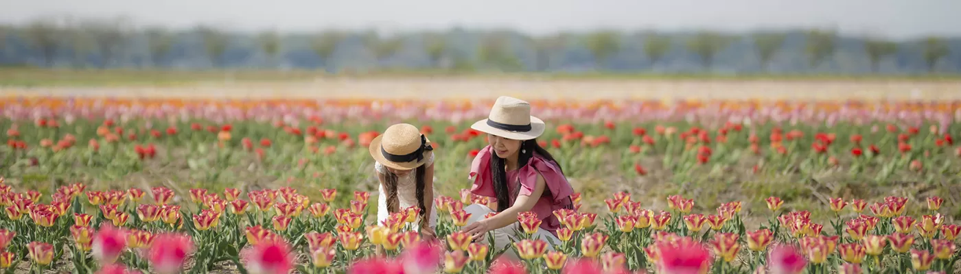 TourCare Plus Campaign (6 March - 6 April 2026)