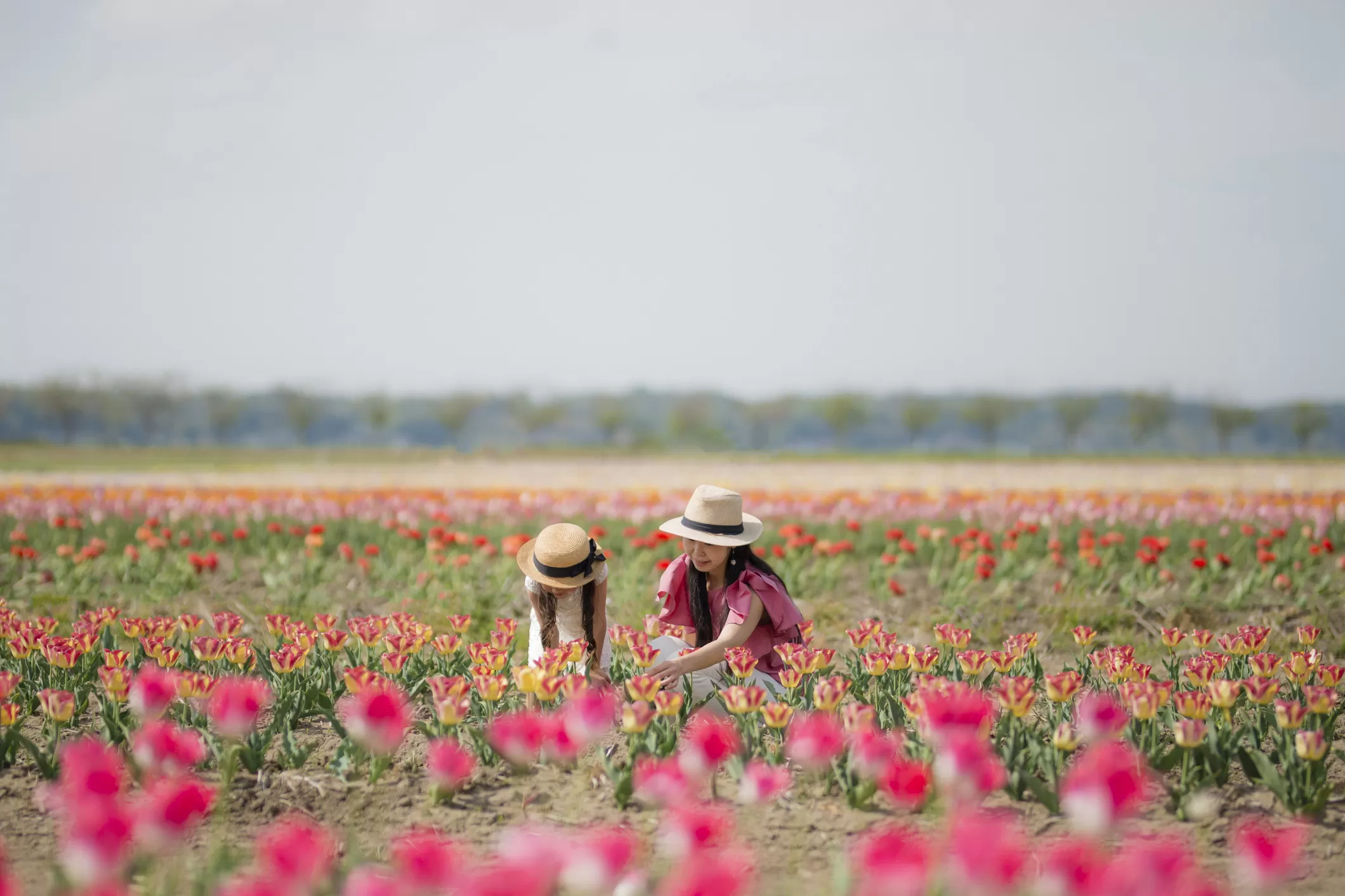 TourCare Plus Campaign (6 March - 6 April 2026)